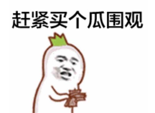 娱乐吃瓜君干什么了,揭秘其引发热议的背后真相