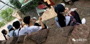 娱乐吃瓜小分队