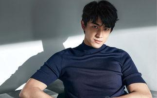 娱乐吃瓜君林更新,娱乐圈的“吃瓜”达人，揭秘明星幕后故事