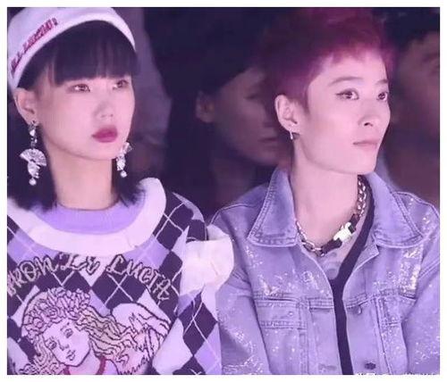 娱乐圈吃瓜小料视频,小料视频背后的真实故事