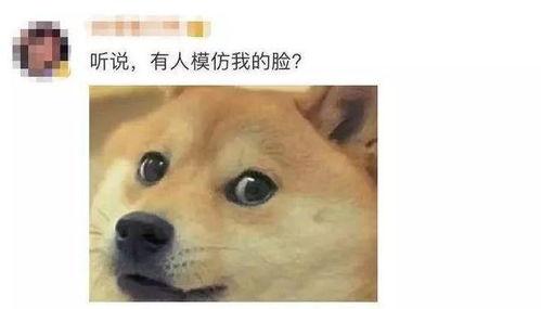 微信里的表情包吃瓜什么意思,揭秘微信表情包“吃瓜”背后的趣味与内涵