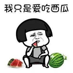 吃瓜群娱乐,揭秘娱乐圈幕后故事，带你领略明星真实生活